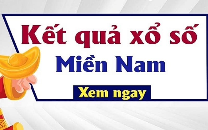 tai-sao-ban-nen-cap-nhat-bang-thong-ke-xo-so-mien-nam