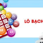 bach-thu-lo-la-gi